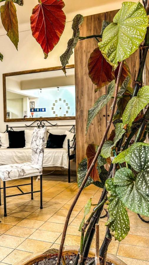 Central 9 Rooms Ermoupoli Ngoại thất bức ảnh